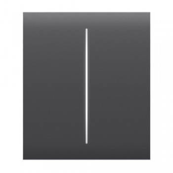 Кнопка Ajax CenterButton (2-gang) graphite для двухклавишного выключателя