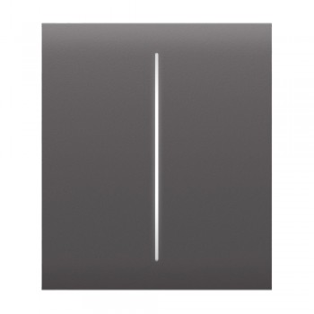 Кнопка Ajax CenterButton (2-gang) grey для двухклавишного выключателя