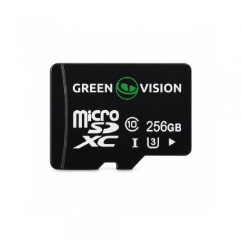 Карта пам'яті GreenVision microSDXC 256GB Class10 (без адаптера)